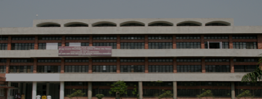 Sri Guru Ram Das College of Nursing, Vallah, Sri Amritsar Admission 2024